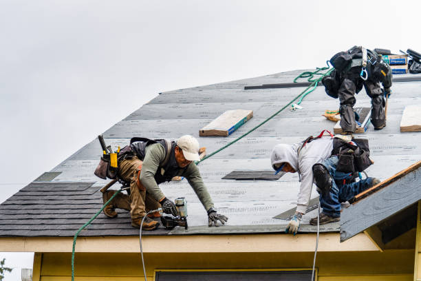 Professional Gutter Installation technician working in Willseyville, NY